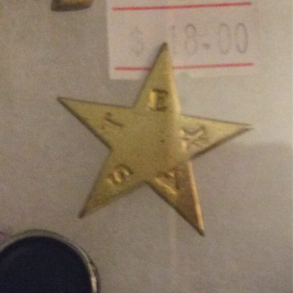 Texas Star Pin