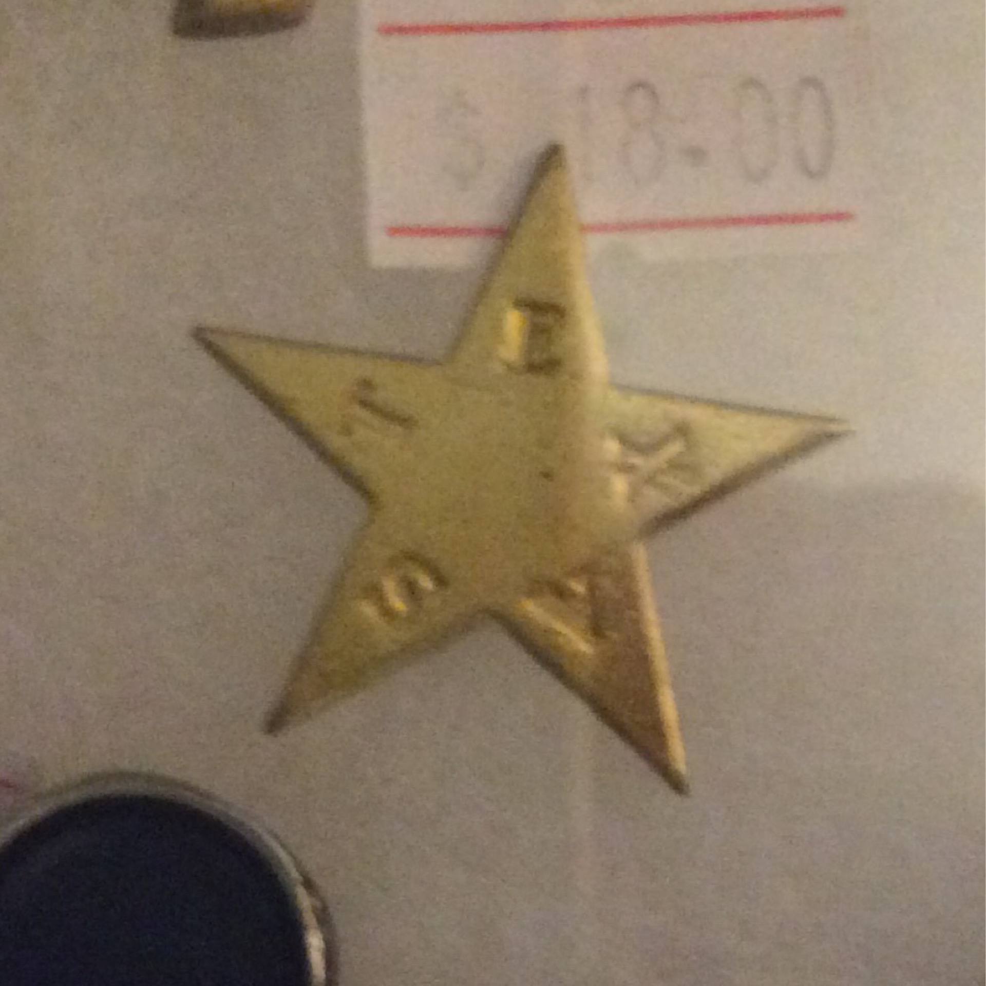 Texas Star Pin - The Maryland Sutler