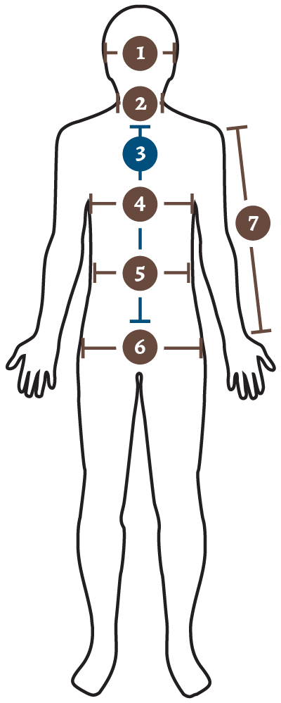 body measurement - front